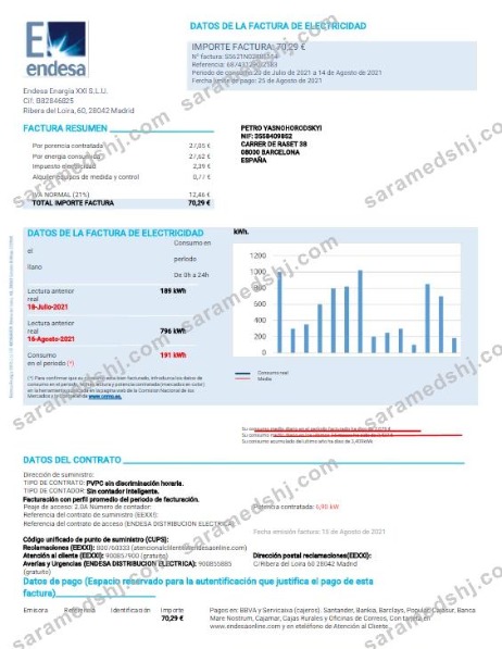 SPAIN ENDESA utility bill Word and PDF template